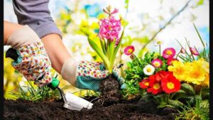 How does spending time with dirt improve mental health?