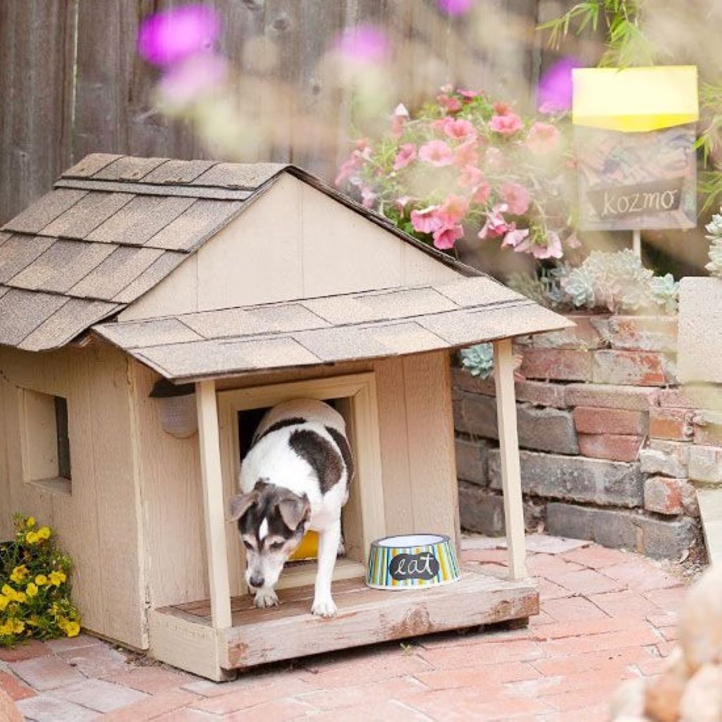 Cost effective alternatives to cedar wood for dog house construction reddit