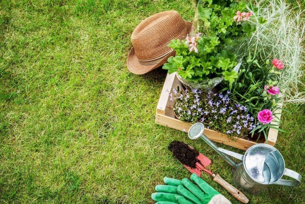 Professional landscape maintenance enhances property value and curb appeal.