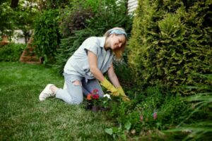 Free eco friendly lawn care tips for nyc guide