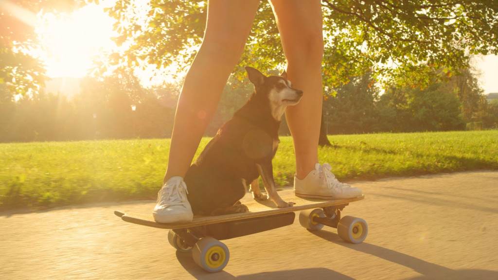 How to Choose an Eco-Friendly Skateboard in Texas