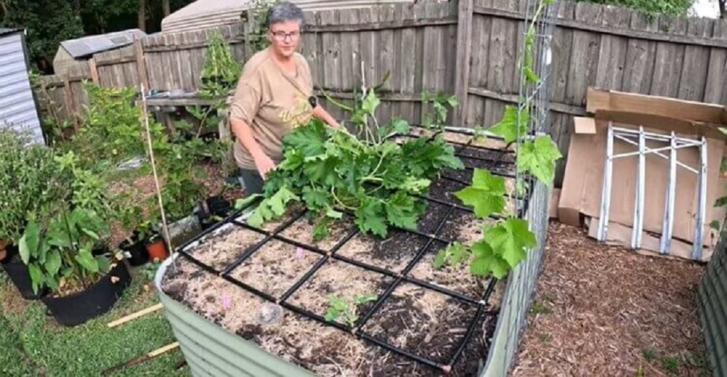 What’s the best drip irrigation system for Jacksonville gardens
