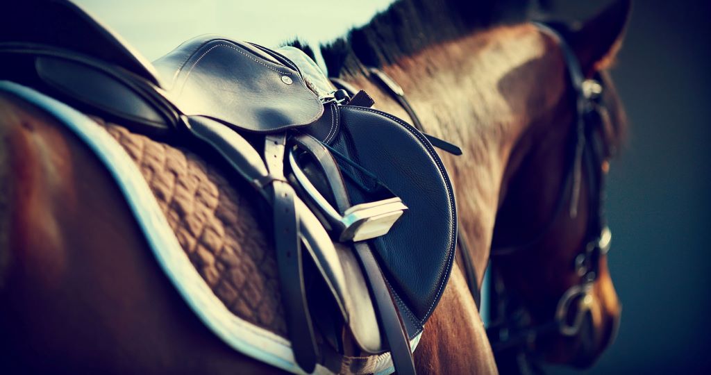 Close-up view of a horse saddle highlighting key components for proper riding setup
