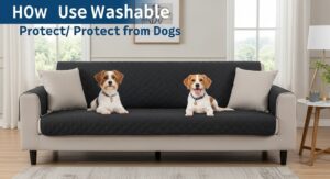 Dog resting on sofa protected with washable couch cover