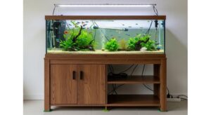 Level aquarium stand with fish tank properly centered showing safe installation setup
